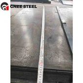 A302GRA survenurga plaat