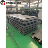 SG365 veresoonte plaat